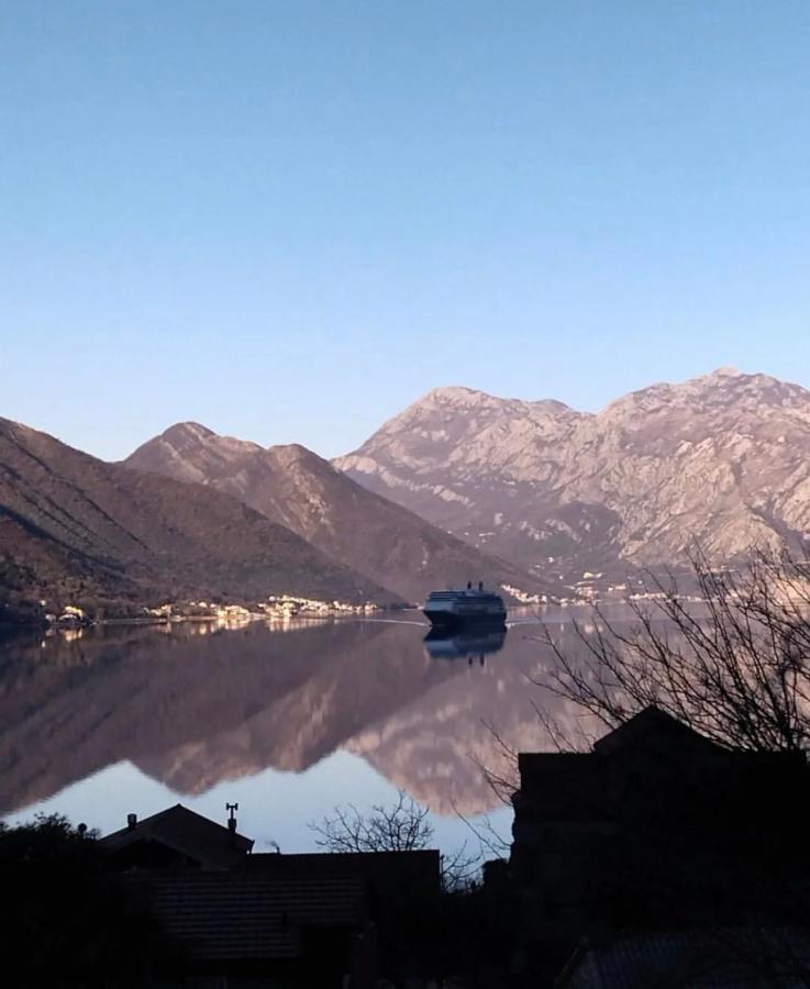 D Apartment Kotor Dış mekan fotoğraf
